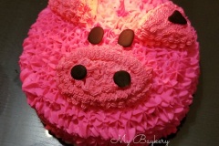 20171203_192140-edit