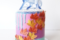 Frozen - Chocolate Cake with Vanilla Swiss Meringue Buttercream