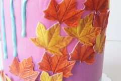 Frozen - Chocolate Cake with Vanilla Swiss Meringue Buttercream