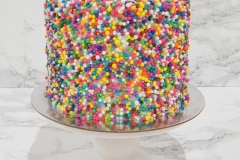 Mini Vanilla Cake with Vanilla Swiss Meringue Buttercream