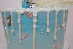 Frozen - Chocolate Cake, Filled with Homemade Strawberry Sauce. Topped with White Chocolate Trees and Drips