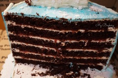 Frozen - Chocolate Cake, Filled with Homemade Strawberry Sauce. Topped with White Chocolate Trees and Drips