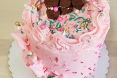Vanilla Cake with Vanilla Buttercream