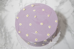Mini Daisies: Chocolate Cake with Chocolate Swiss Meringue Buttercream
