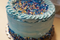 Frozen - Chocolate Cake, Filled with Chocolate Swiss Meringue Buttercream