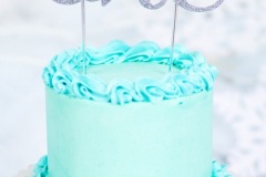 Vegan Vanilla Cake with Vegan Vanilla Buttercream