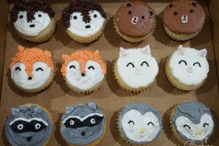 Woodland Animals: Vanilla Cupcakes with Chestnut Paste Filling in the Center