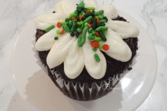 Chocolate Cupcake filled with Coconut Whipped Cream and Shredded Coconut